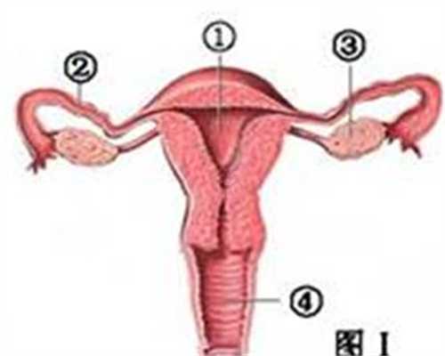 如何保护卵巢子宫衰老-供卵试管合法么_做试管代孕总共费用-供卵试管公司哪里
