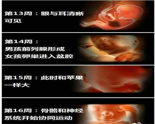 卵巢早衰供卵试管代孕-有谁做过供卵试管代孕_走进小儿妇科