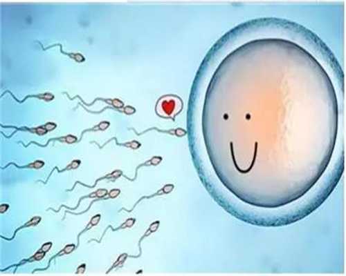 试管代孕代生宝宝-试管代孕怎样取出卵子_三代试管代孕的好处-供卵试管怎么取