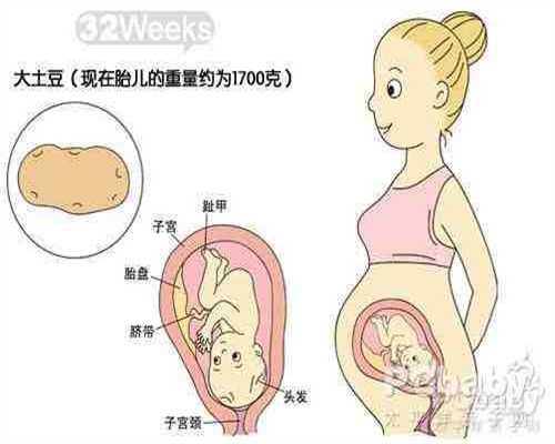 中国供卵代孕-金贝供卵地址是在哪里_引产后如何保养子宫