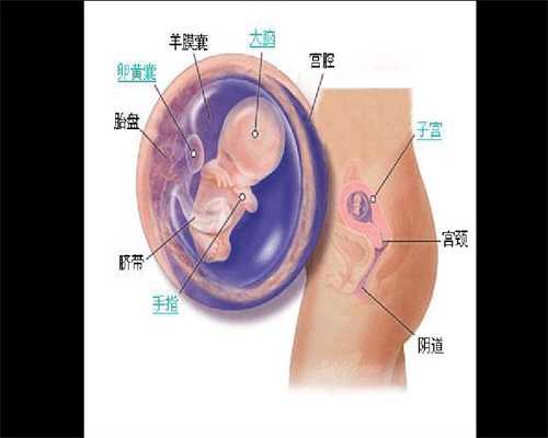 有找试管代孕的吗-中国哪里有供卵试管公司_找人供卵试管价格-供卵试管全过程