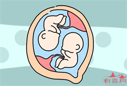 供卵试管怎么生双胞胎或龙凤胎，13周男孩女孩生殖区别 看亮点和凸起点哪个更