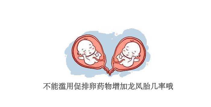 供卵着婴儿和母亲的关系，一孕龙凤胎不再是遥不可及的梦